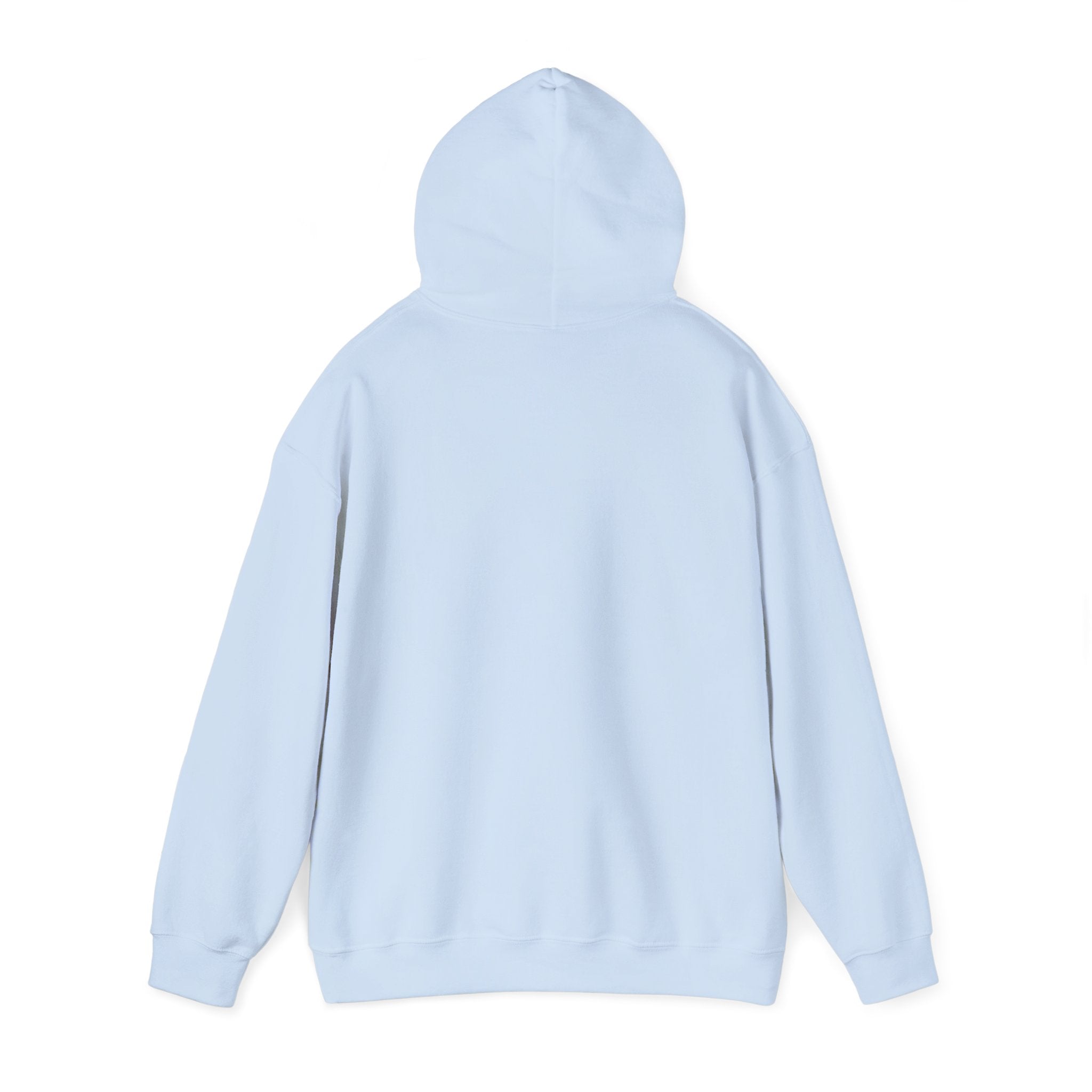 TBBIR 'The Bounce Back Jr.' Graphic Hoodie — Retro Surf Logo Pullover