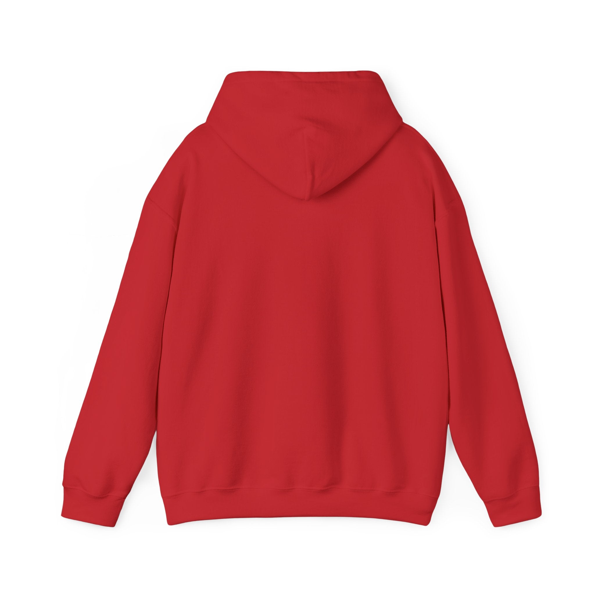 TBBIR 'The Bounce Back Jr.' Graphic Hoodie — Retro Surf Logo Pullover