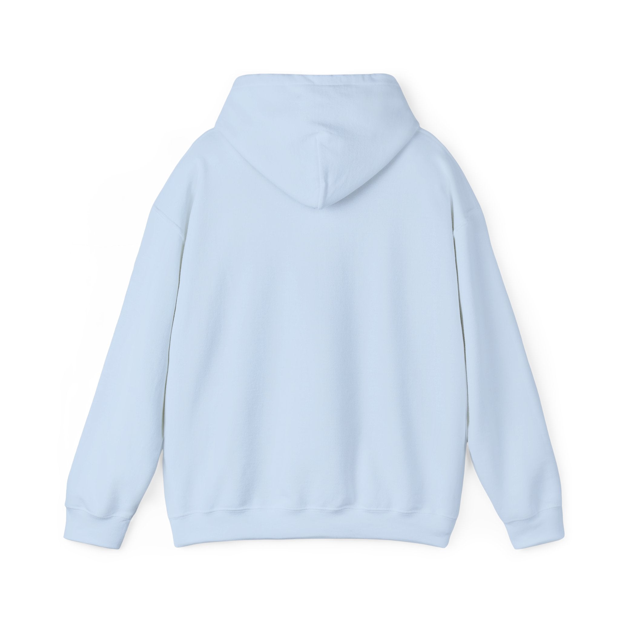 TBBIR 'The Bounce Back Jr.' Graphic Hoodie — Retro Surf Logo Pullover