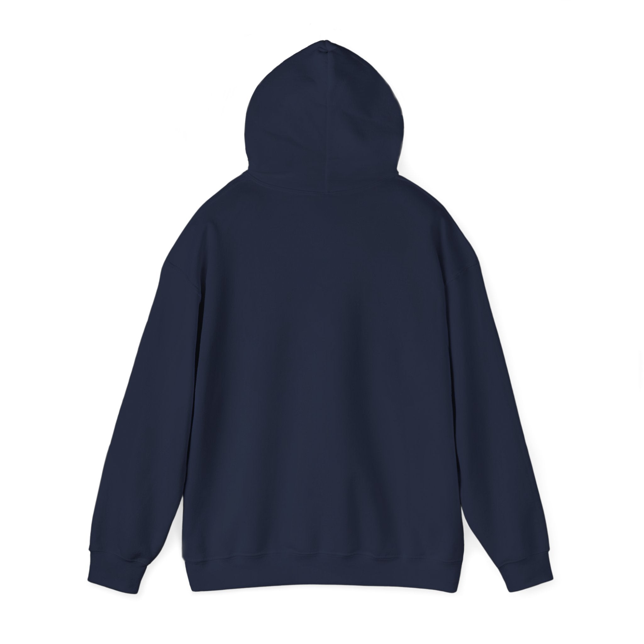 TBBIR 'The Bounce Back Jr.' Graphic Hoodie — Retro Surf Logo Pullover