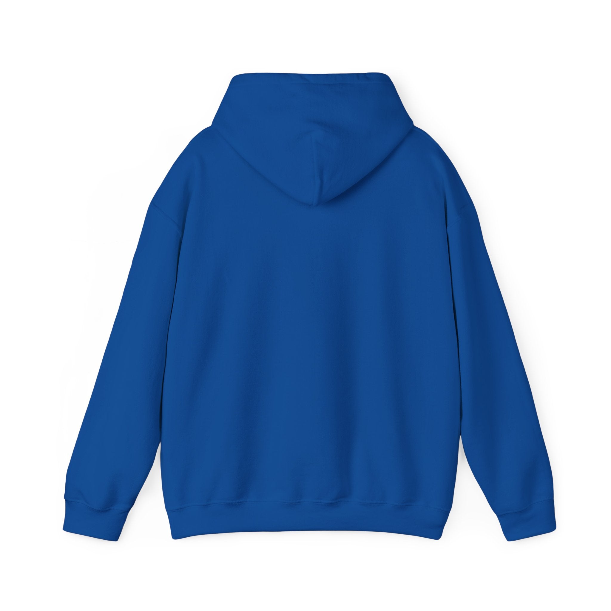 TBBIR 'The Bounce Back Jr.' Graphic Hoodie — Retro Surf Logo Pullover