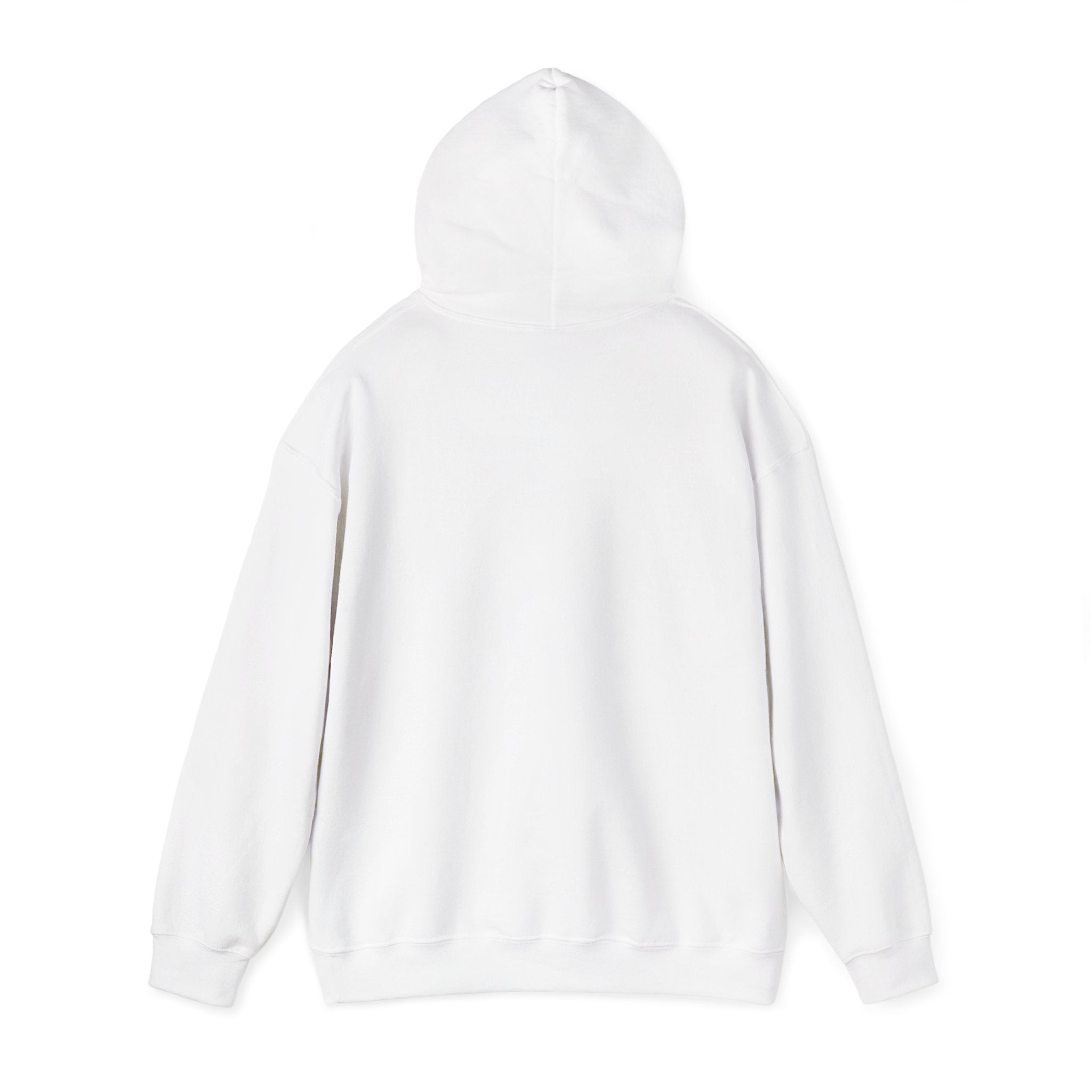 TBBIR 'The Bounce Back Jr.' Graphic Hoodie — Retro Surf Logo Pullover
