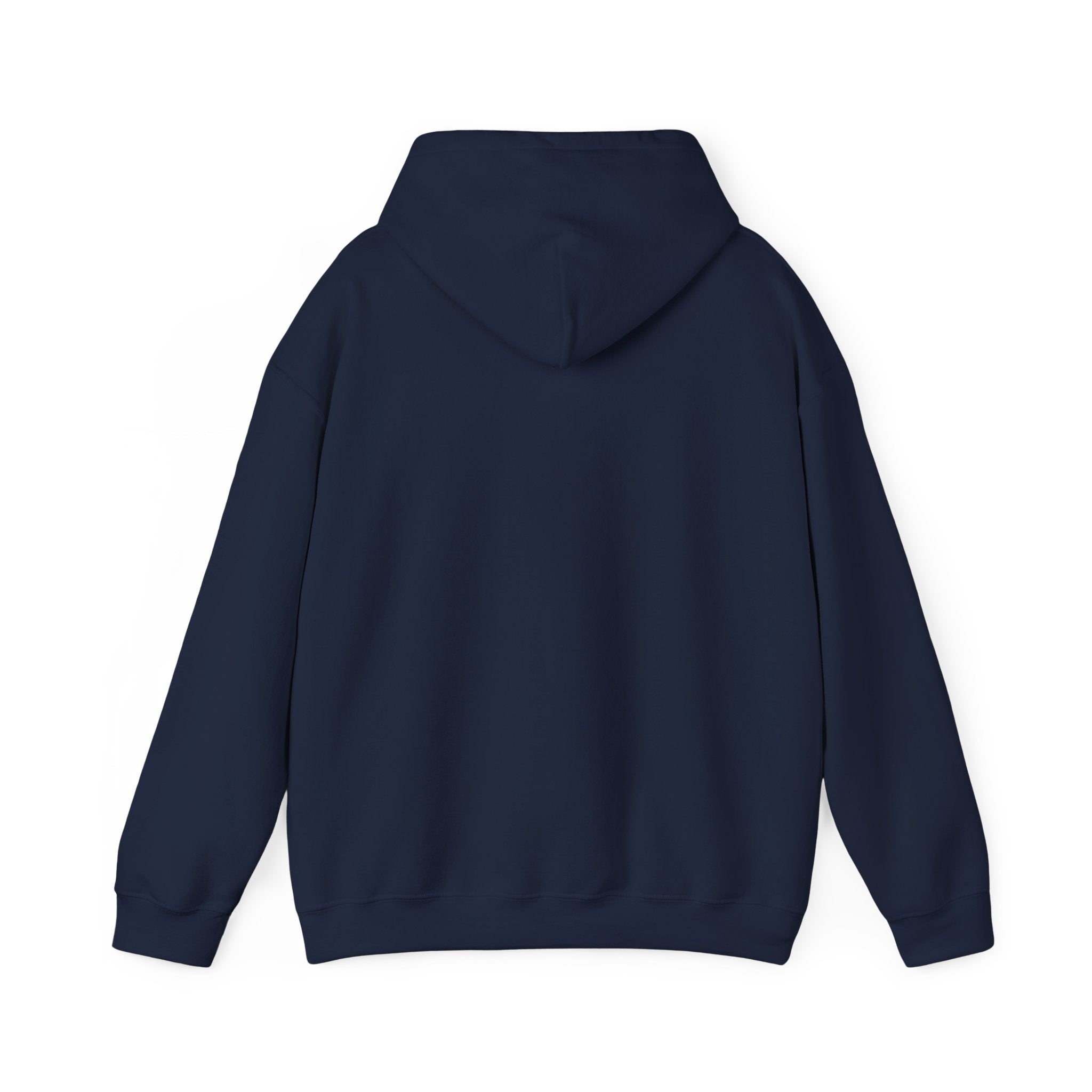 TBBIR 'The Bounce Back Jr.' Graphic Hoodie — Retro Surf Logo Pullover