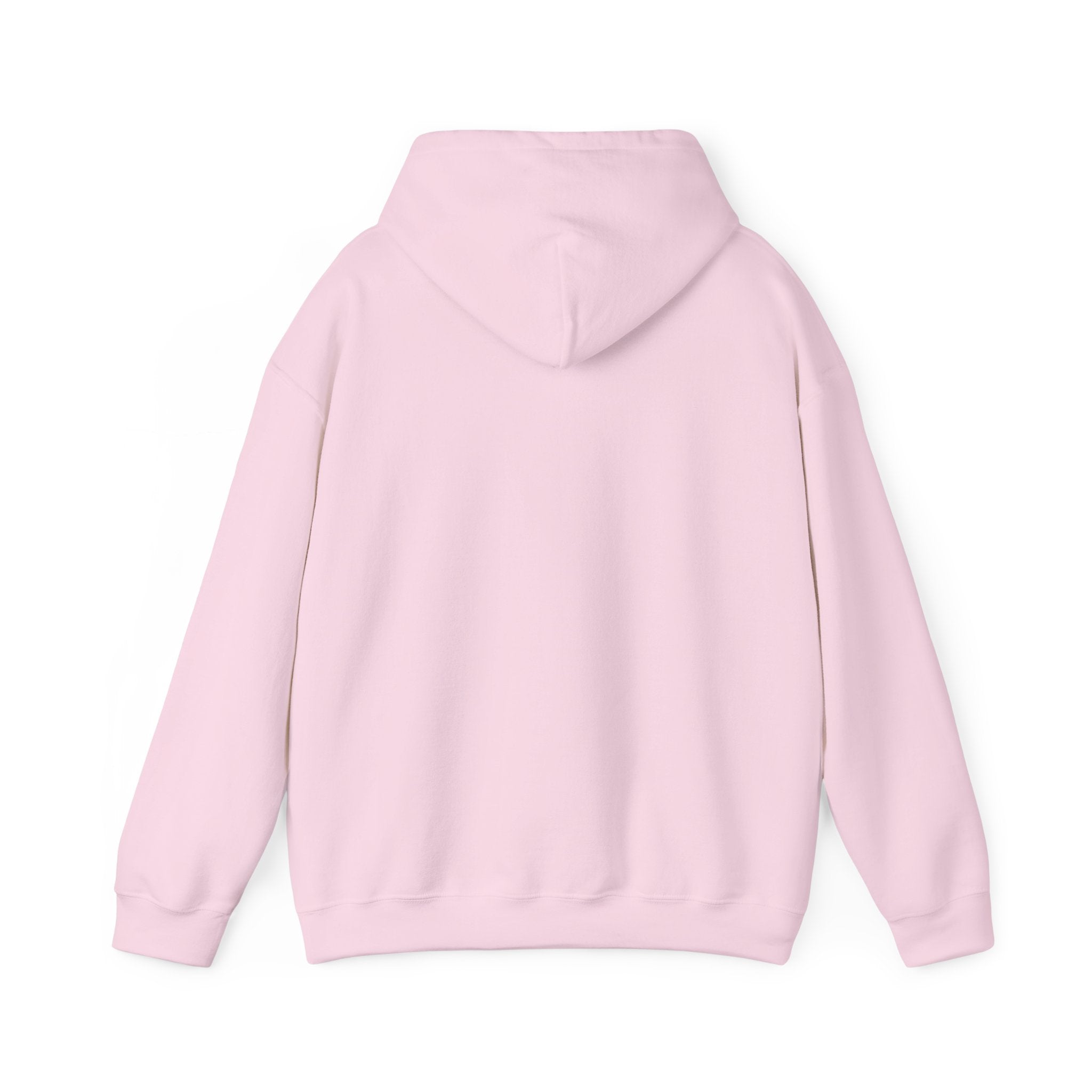 TBBIR 'The Bounce Back Jr.' Graphic Hoodie — Retro Surf Logo Pullover