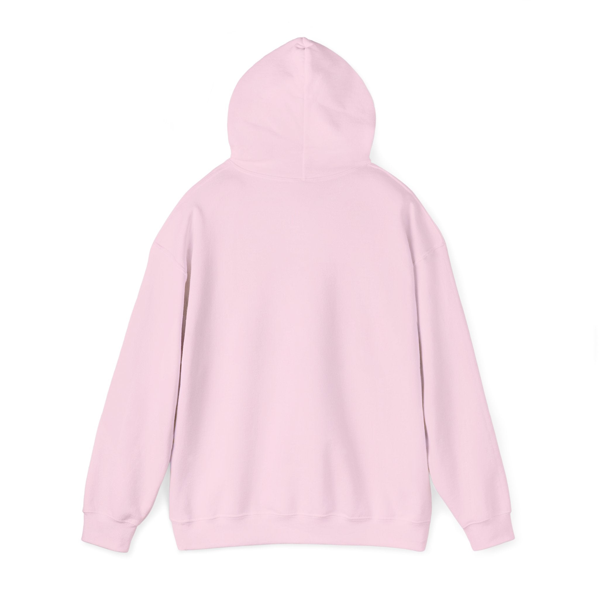 TBBIR 'The Bounce Back Jr.' Graphic Hoodie — Retro Surf Logo Pullover