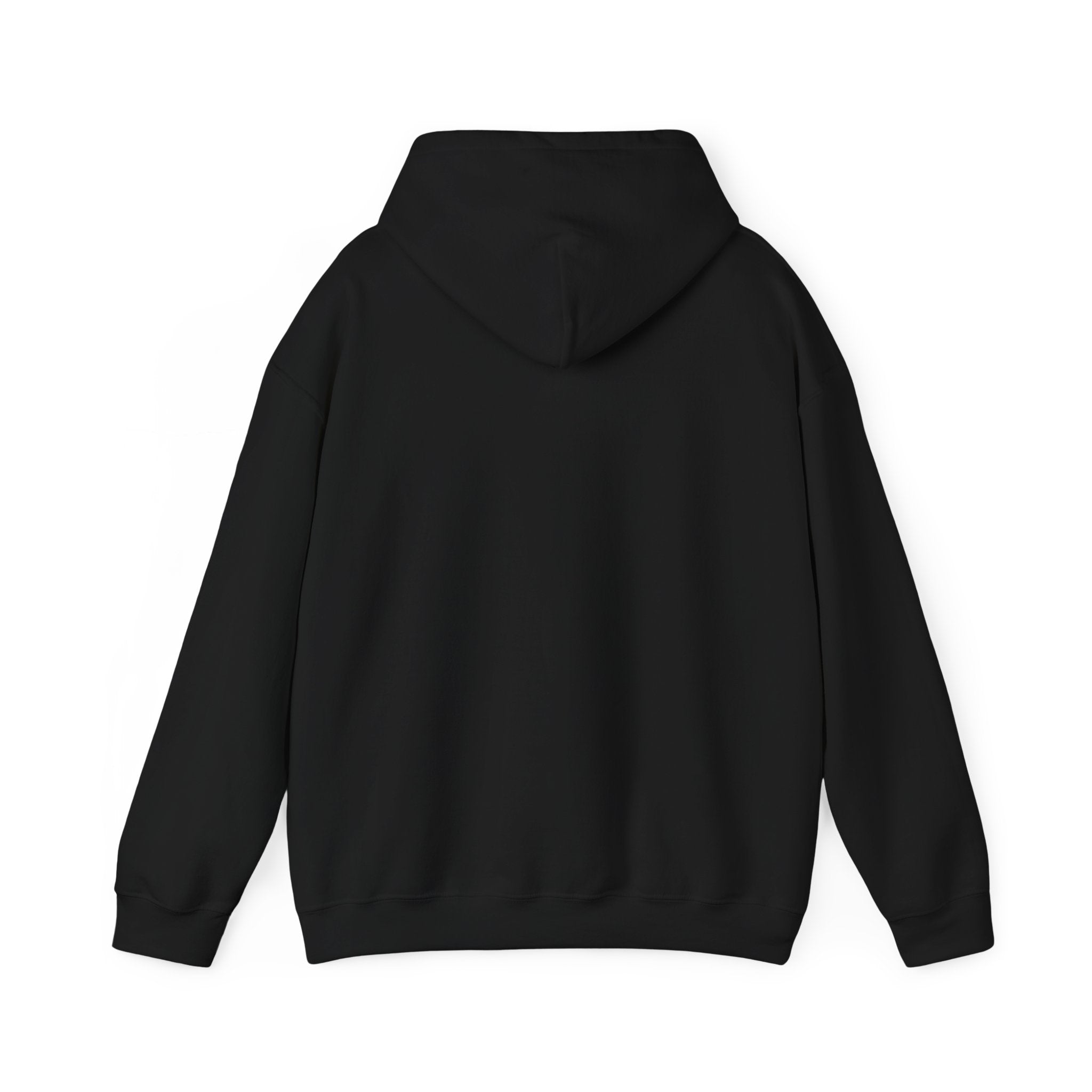 TBBIR 'The Bounce Back Jr.' Graphic Hoodie — Retro Surf Logo Pullover