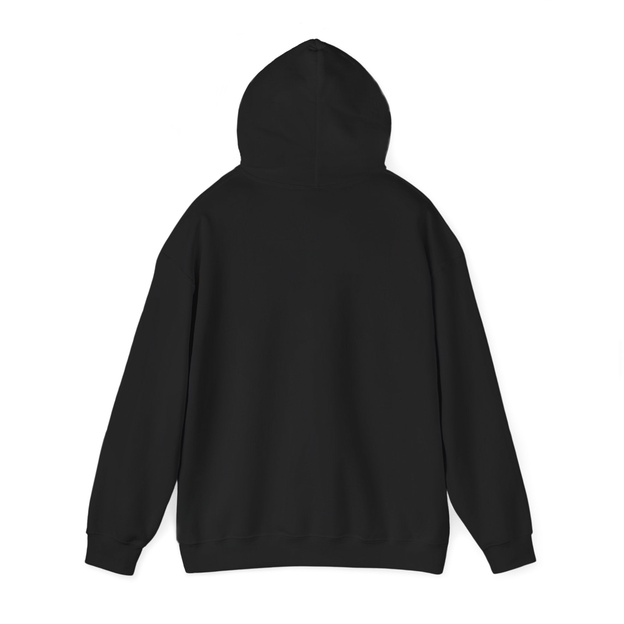 TBBIR 'The Bounce Back Jr.' Graphic Hoodie — Retro Surf Logo Pullover