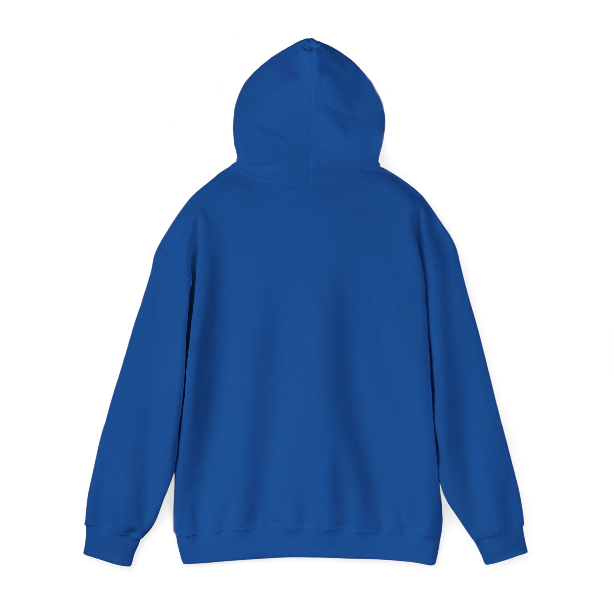 TBBIR 'The Bounce Back Jr.' Graphic Hoodie — Retro Surf Logo Pullover