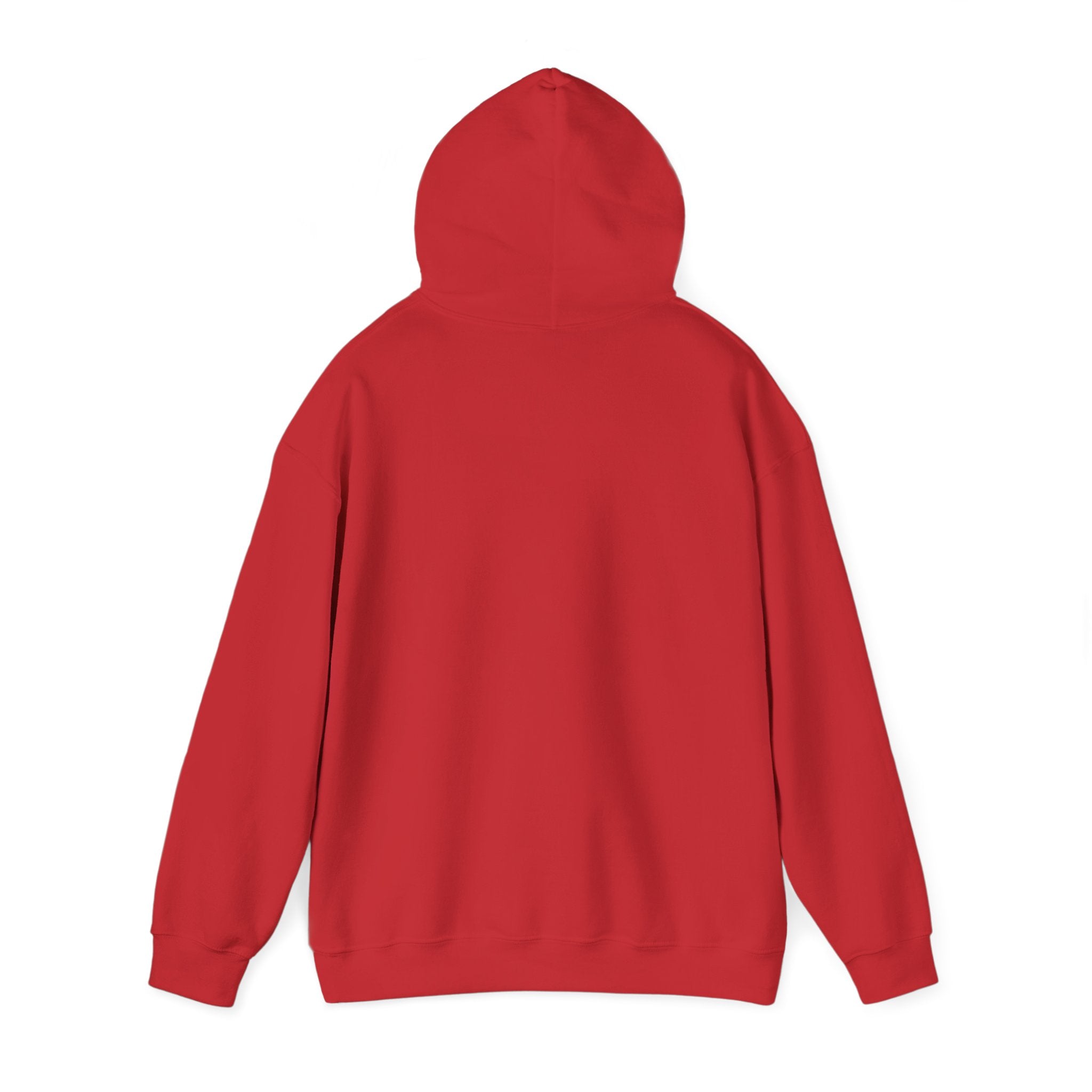 TBBIR 'The Bounce Back Jr.' Graphic Hoodie — Retro Surf Logo Pullover