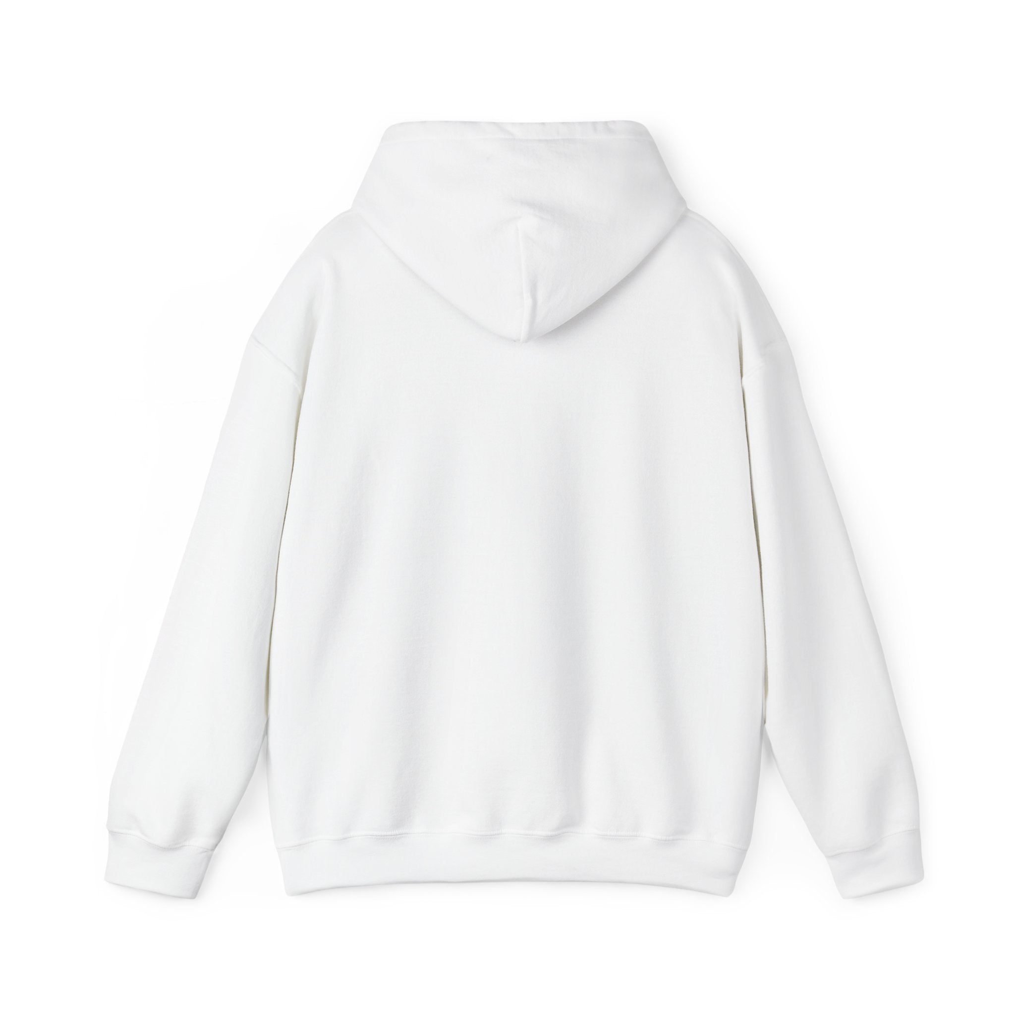 TBBIR 'The Bounce Back Jr.' Graphic Hoodie — Retro Surf Logo Pullover